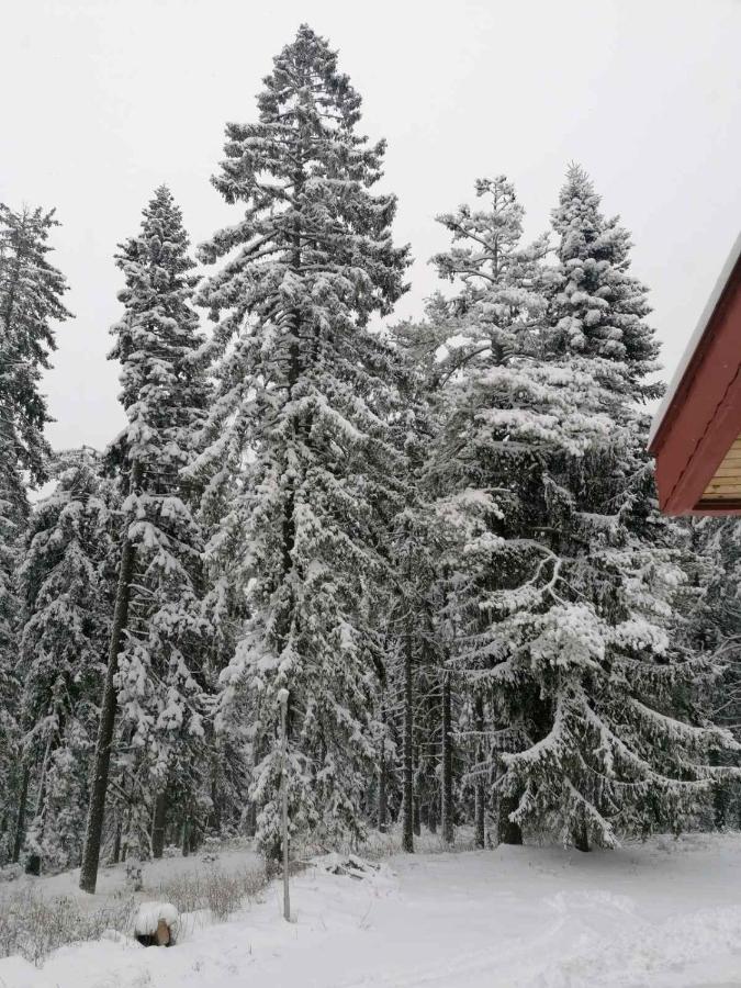 Elina Hotel Pamporovo Esterno foto