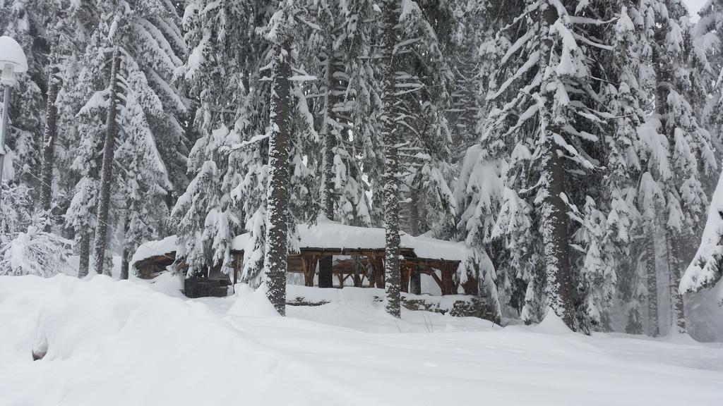 Elina Hotel Pamporovo Esterno foto